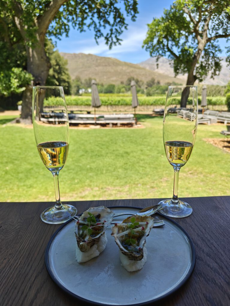 Maison Estate winery oyster foodpairing Chefs Warehouse Zuid-Afrika Franschhoek