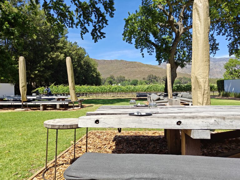 Maison estate franschhoek winery visit restaurant tasting terrace wine Zuid-Afrika