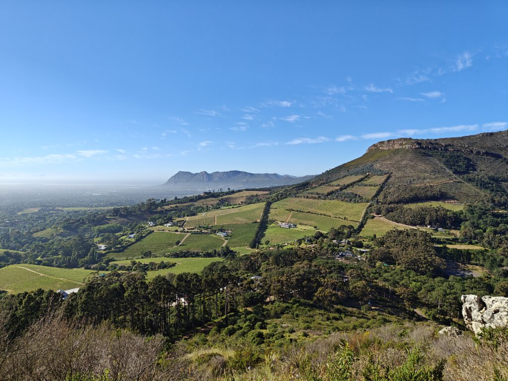 Constantia ontdek de 3 beste wijnhuizen dichtbij Kaapstad Vinovel