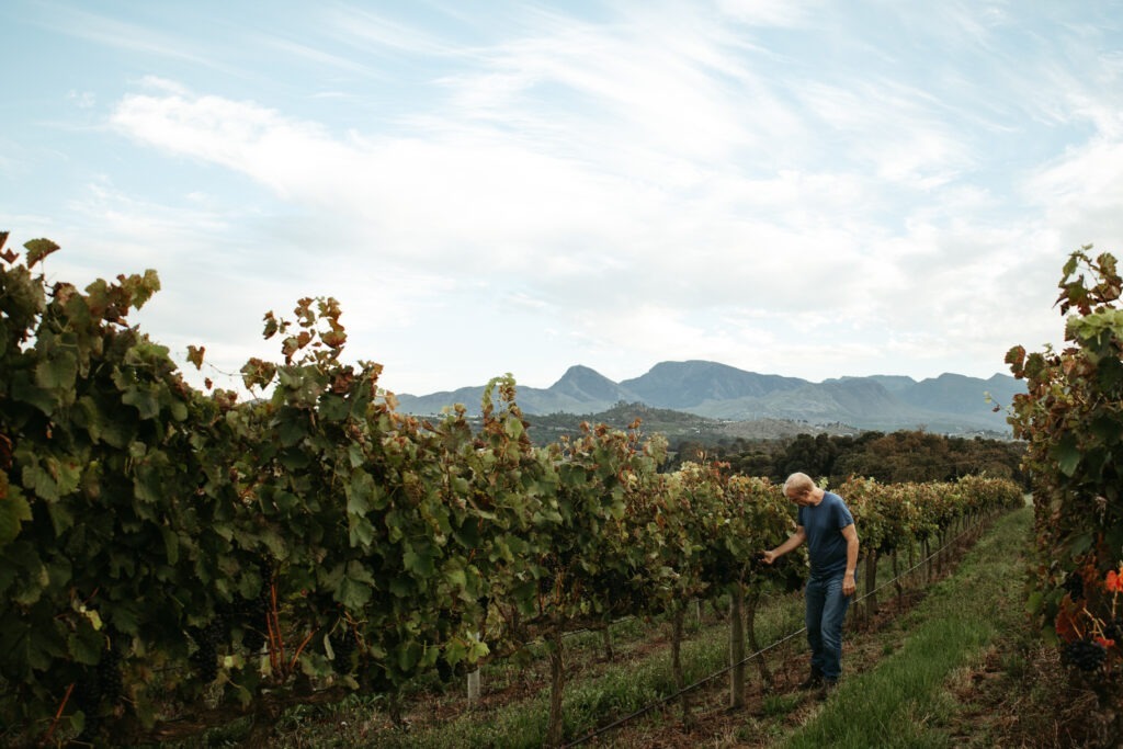 richard kershaw elgin valley botrivier wines vineyard view Zuid-Afrika