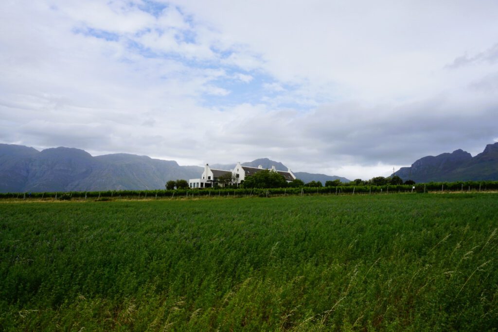 Longridge winery stellenbosch visit tasting living