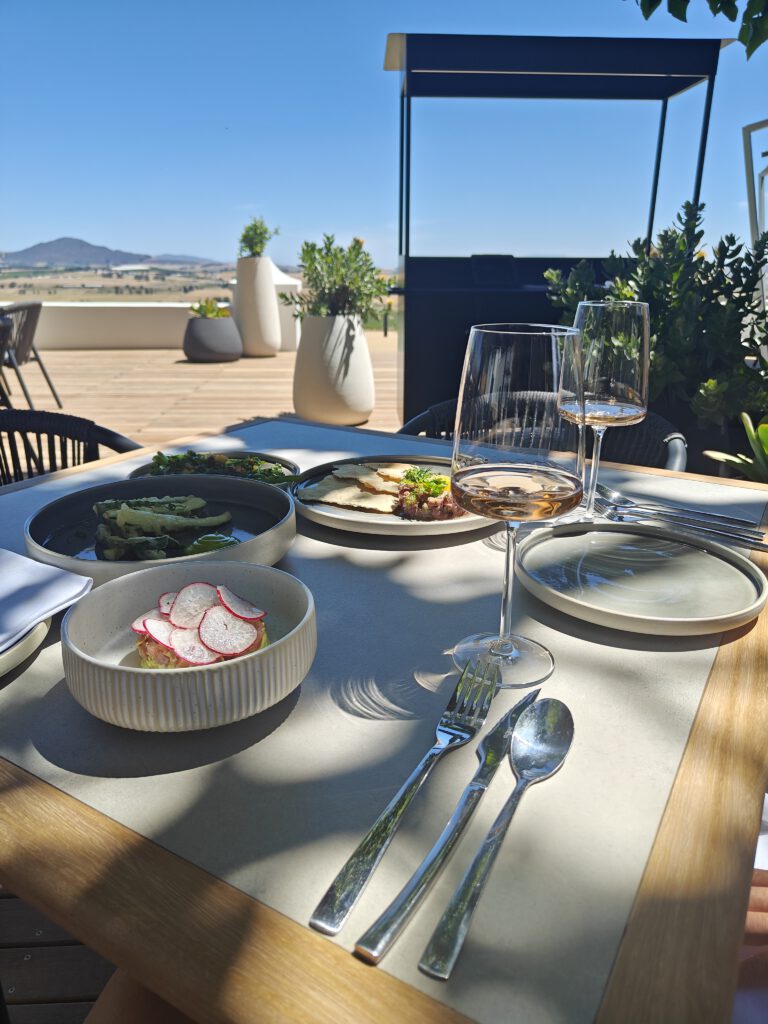 vondeling winery paarl vineyard tasting terrace lunch