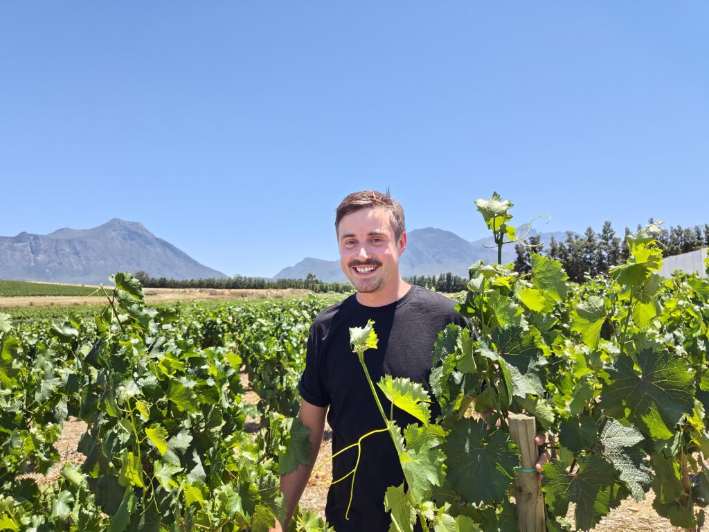 Rijk's winery visit vineyard tour