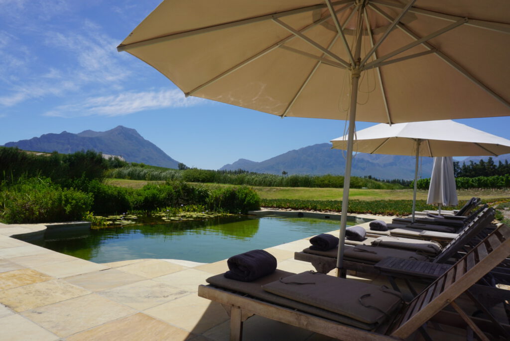 tulbagh winery vineyard rijks pool relax